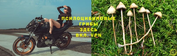 герыч Балахна