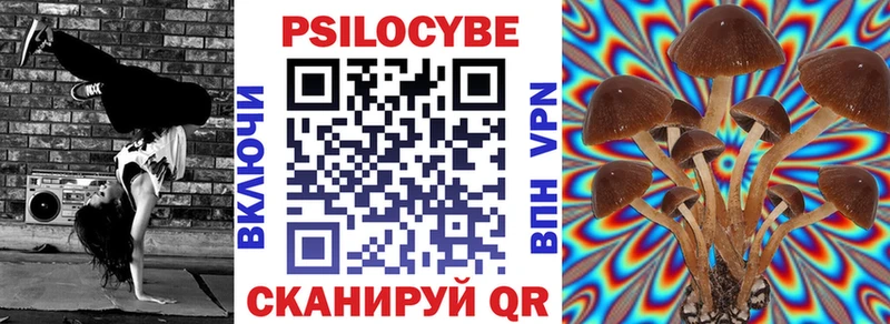 Псилоцибиновые грибы мицелий  Кушва 